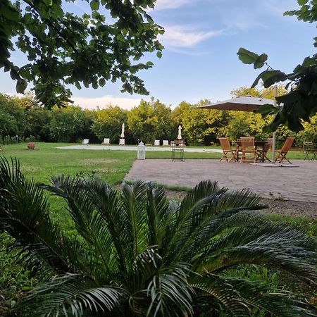 Agriturismo Terre Di Nelio Vignanello Exterior photo